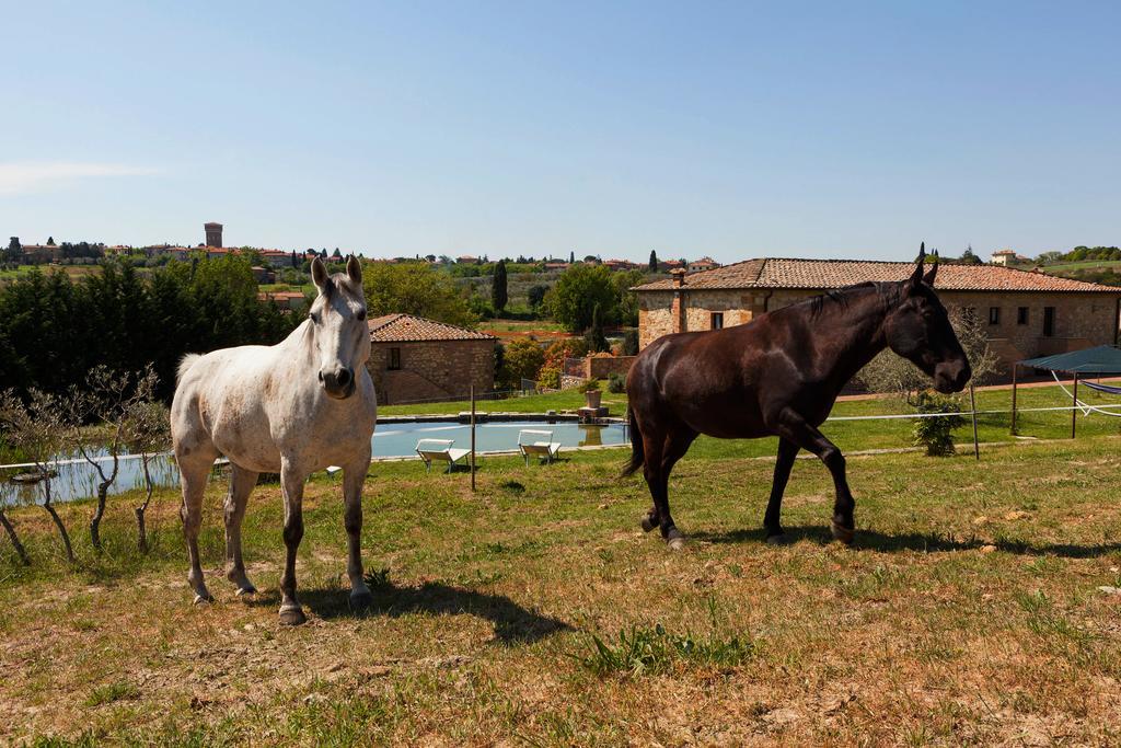 Agriturismo La Collina Пиенца Экстерьер фото